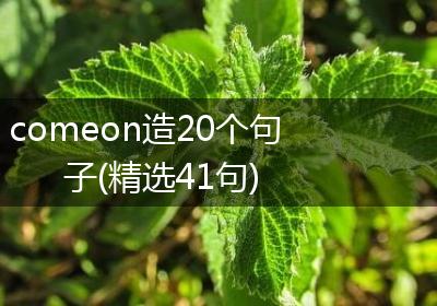 comeon造20个句子(精选41句)