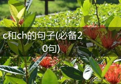 c和ch的句子(必备20句)