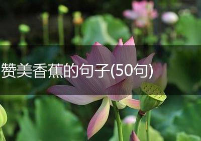 赞美香蕉的句子(50句)