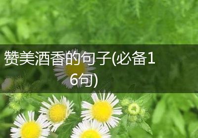 赞美酒香的句子(必备16句)