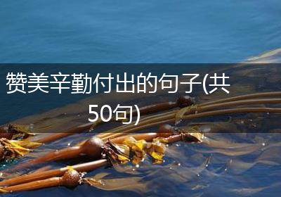 赞美辛勤付出的句子(共50句)