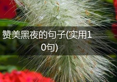 赞美黑夜的句子(实用10句)