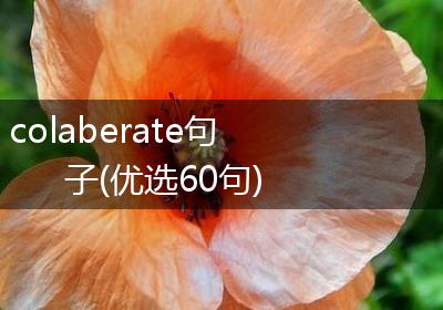 colaberate句子(优选60句)
