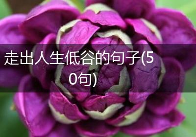 走出人生低谷的句子(50句)