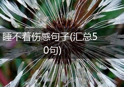 睡不着伤感句子(汇总50句)