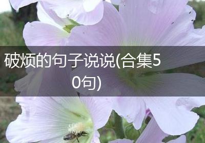 破烦的句子说说(合集50句)
