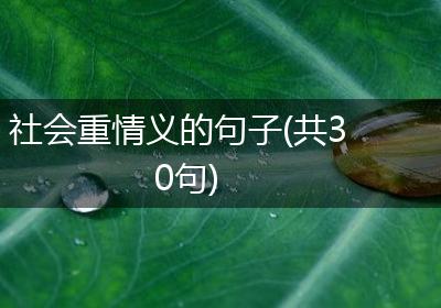 社会重情义的句子(共30句)