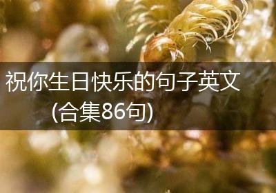 祝你生日快乐的句子英文(合集86句)