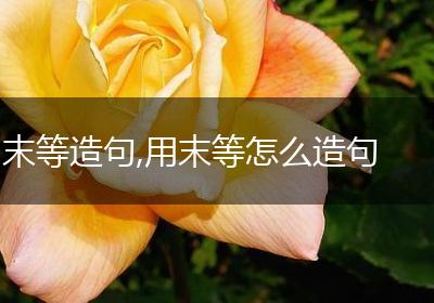 末等造句,用末等怎么造句
