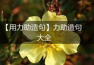 【用力助造句】力助造句大全