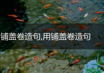 铺盖卷造句,用铺盖卷造句