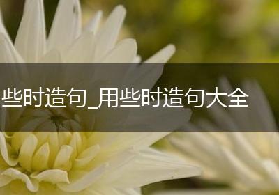 些时造句_用些时造句大全