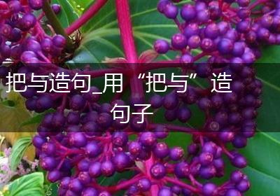 把与造句_用“把与”造句子