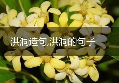 洪洞造句,洪洞的句子