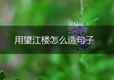 用望江楼怎么造句子