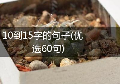 10到15字的句子(优选60句)