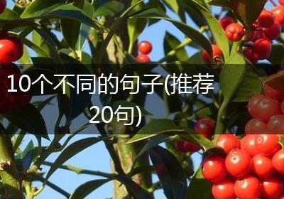 10个不同的句子(推荐20句)