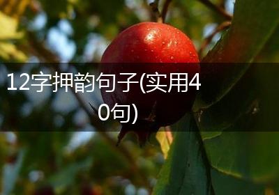 12字押韵句子(实用40句)