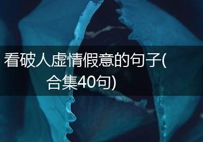 看破人虚情假意的句子(合集40句)