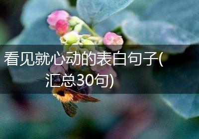 看见就心动的表白句子(汇总30句)