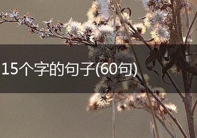 15个字的句子(60句)