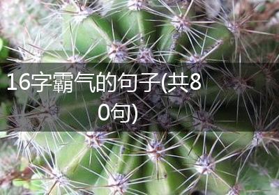 16字霸气的句子(共80句)