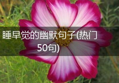 睡早觉的幽默句子(热门50句)