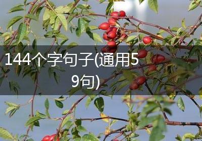 144个字句子(通用59句)