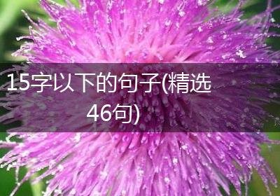 15字以下的句子(精选46句)