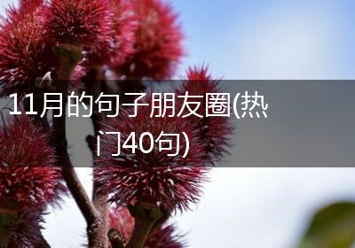 11月的句子朋友圈(热门40句)