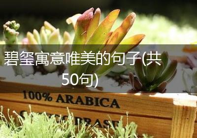 碧玺寓意唯美的句子(共50句)