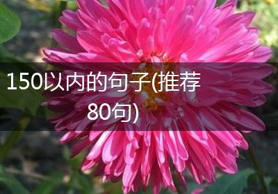 150以内的句子(推荐80句)