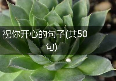 祝你开心的句子(共50句)