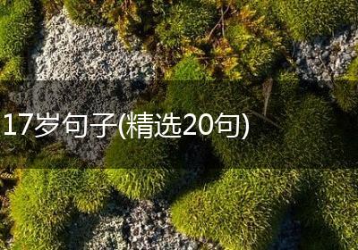 17岁句子(精选20句)