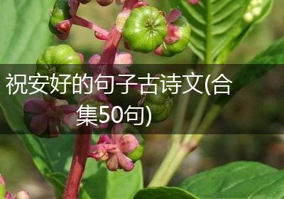 祝安好的句子古诗文(合集50句)