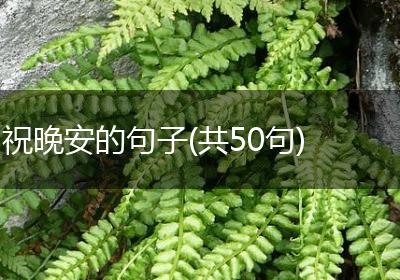 祝晚安的句子(共50句)