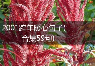 2001跨年暖心句子(合集59句)