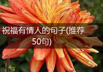 祝福有情人的句子(推荐50句)
