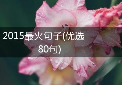 2015最火句子(优选80句)