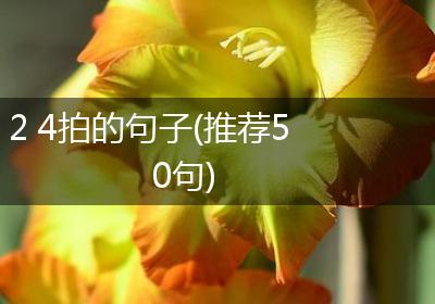 2 4拍的句子(推荐50句)