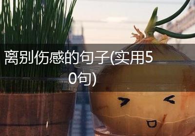 离别伤感的句子(实用50句)