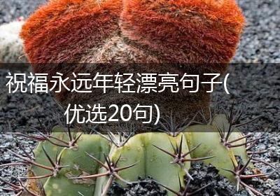 祝福永远年轻漂亮句子(优选20句)