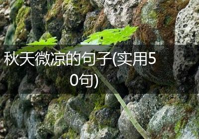 秋天微凉的句子(实用50句)