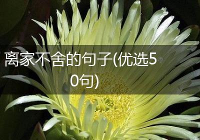 离家不舍的句子(优选50句)