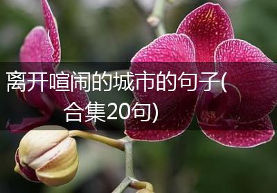 离开喧闹的城市的句子(合集20句)