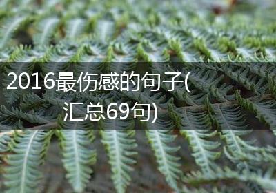 2016最伤感的句子(汇总69句)