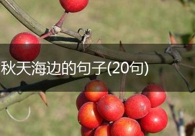 秋天海边的句子(20句)
