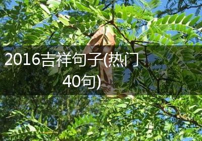 2016吉祥句子(热门40句)