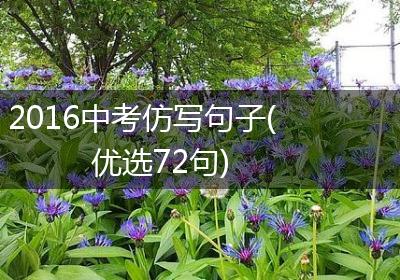 2016中考仿写句子(优选72句)