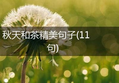 秋天和茶精美句子(11句)